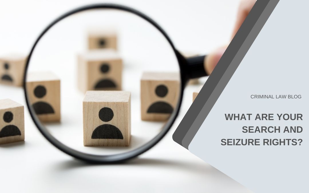 What are your Search and Seizure Rights?